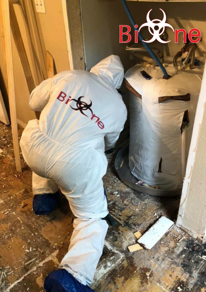 Bio-One Remediation